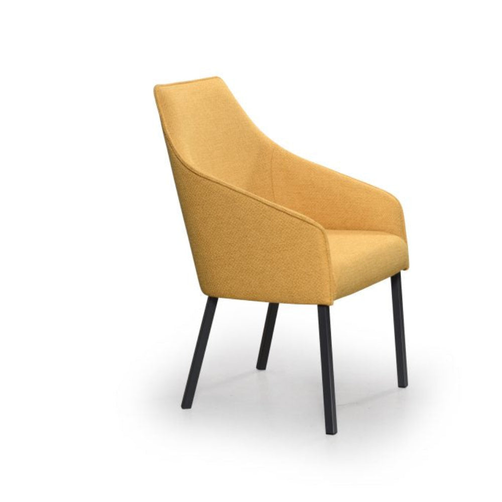 Sara II Plus Chair - Interior Living