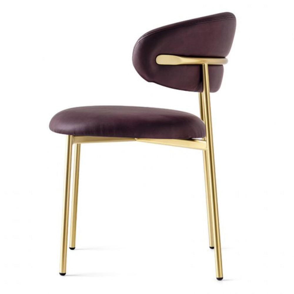 Oleandro Soft Padded Chair - Interior Living