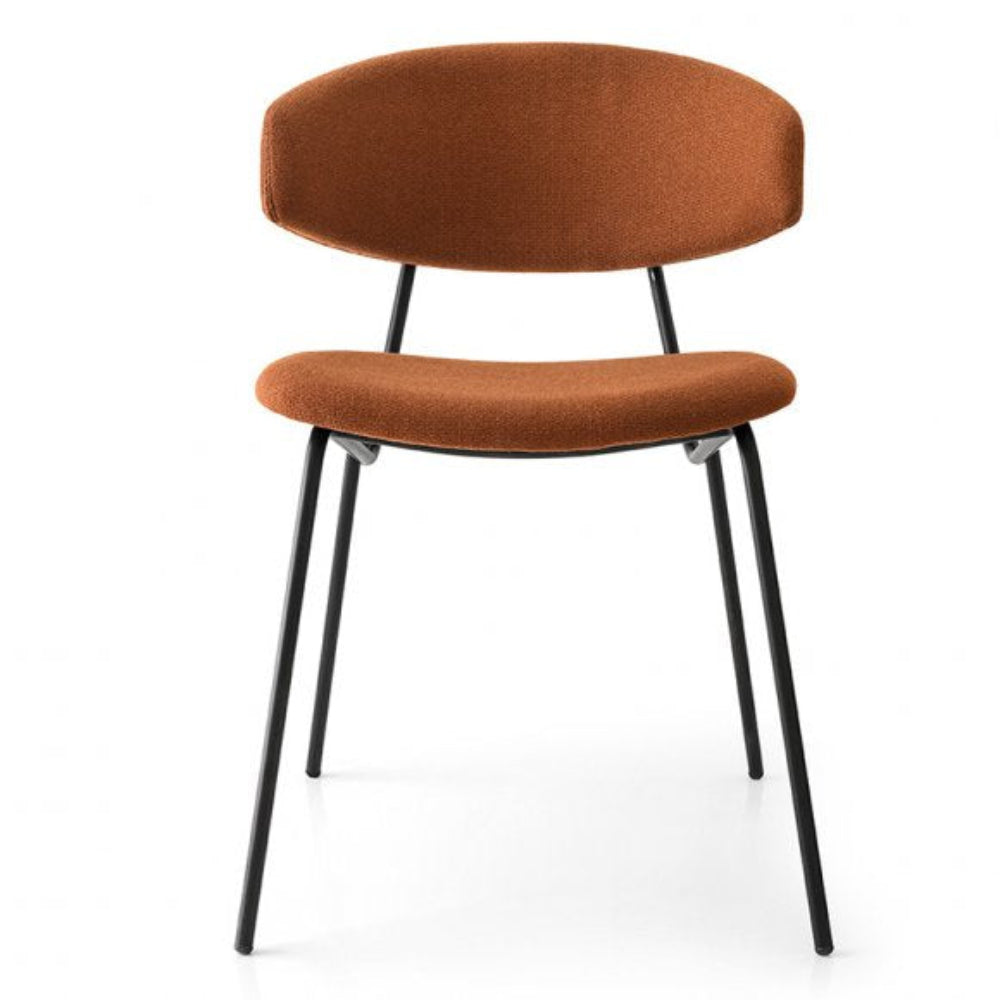 Sophia Modern Padded Chair - Interior Living