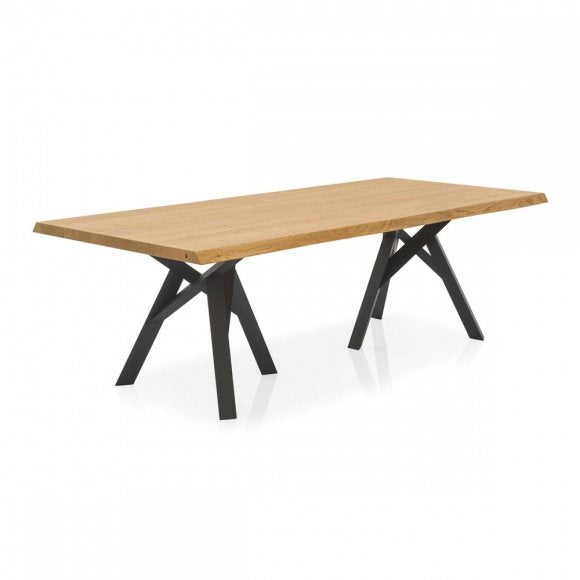 Jungle Branched-Wood-Base Table II