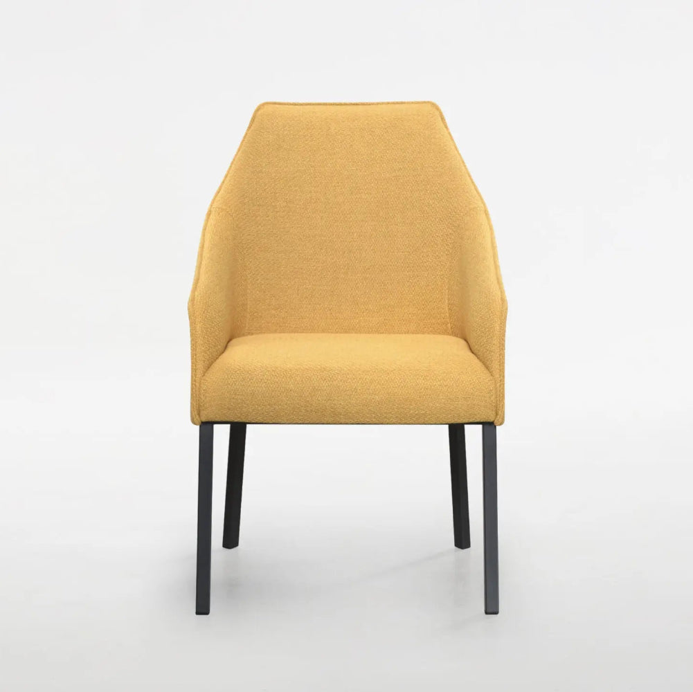 Sara II Plus Chair - Interior Living