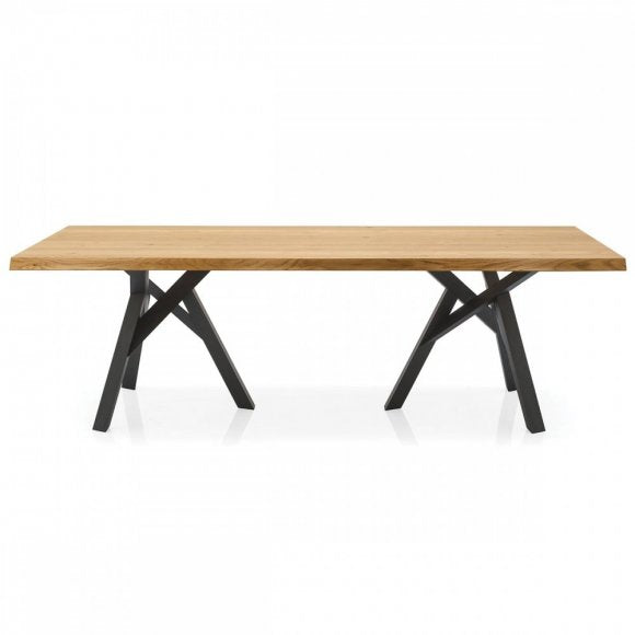 Jungle Branched-Wood-Base Table II