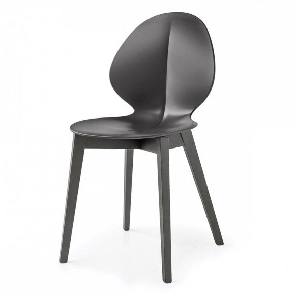 Basil Chair