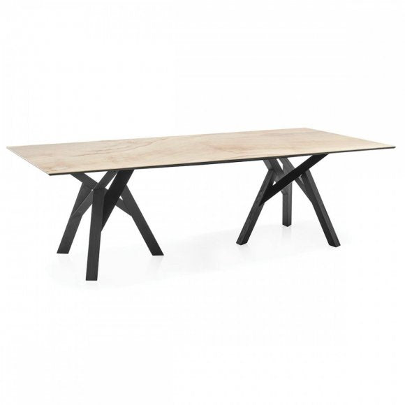 Jungle Branched-Wood-Base Table II